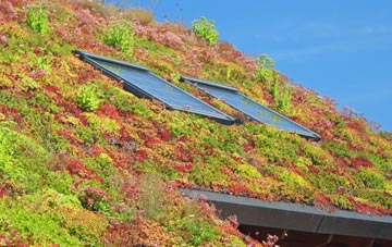 Evertown living roof systems
