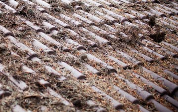 Evertown roof cleaning companies