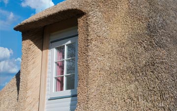 Evertown thatch roof disadvantages